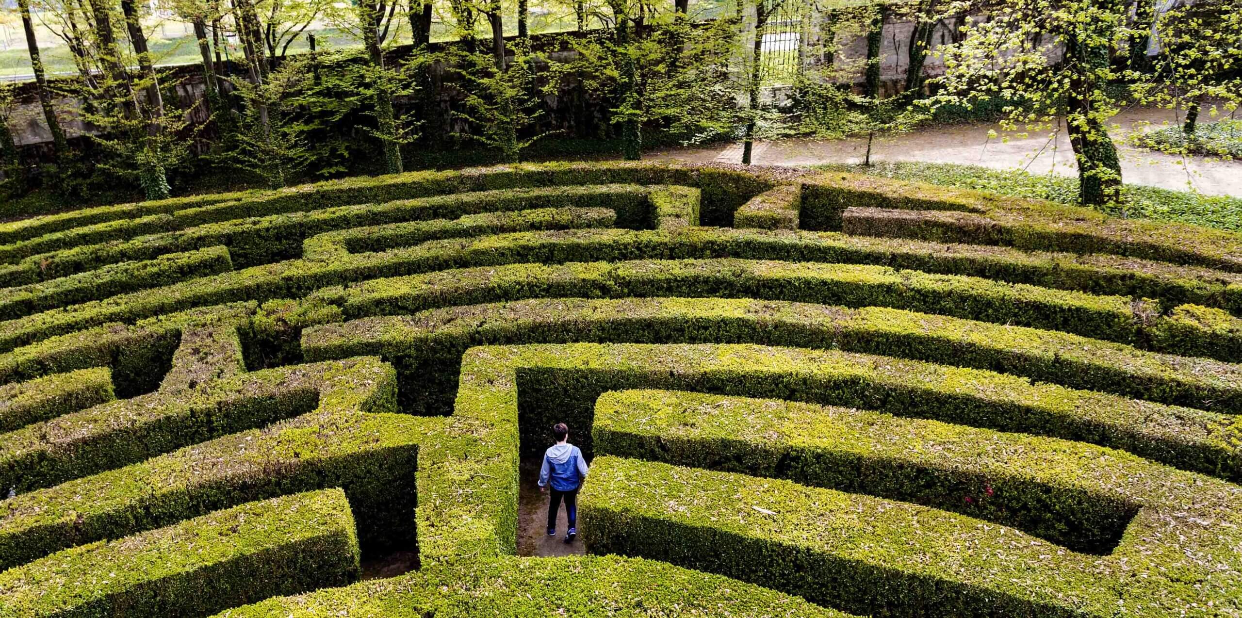 Navigating the Global NHP Shortage: How to Keep Your Nonclinical Development Program on Track