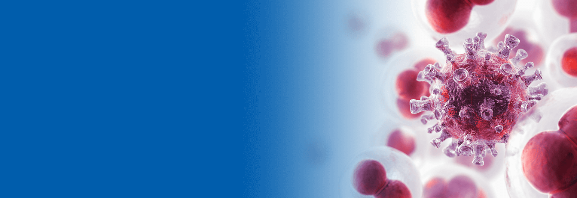 3 Characteristics of a Successful Cell and Gene Therapy Nonclinical Program