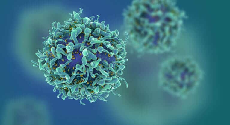 Stem_cells_in_cancer_regenerative_medicine