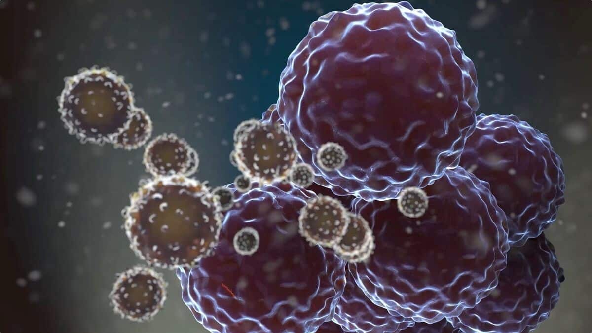 PDUFA VII: Implications for Developers of Cell and Gene Therapies