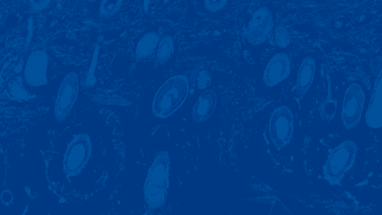 Skin-Background-1