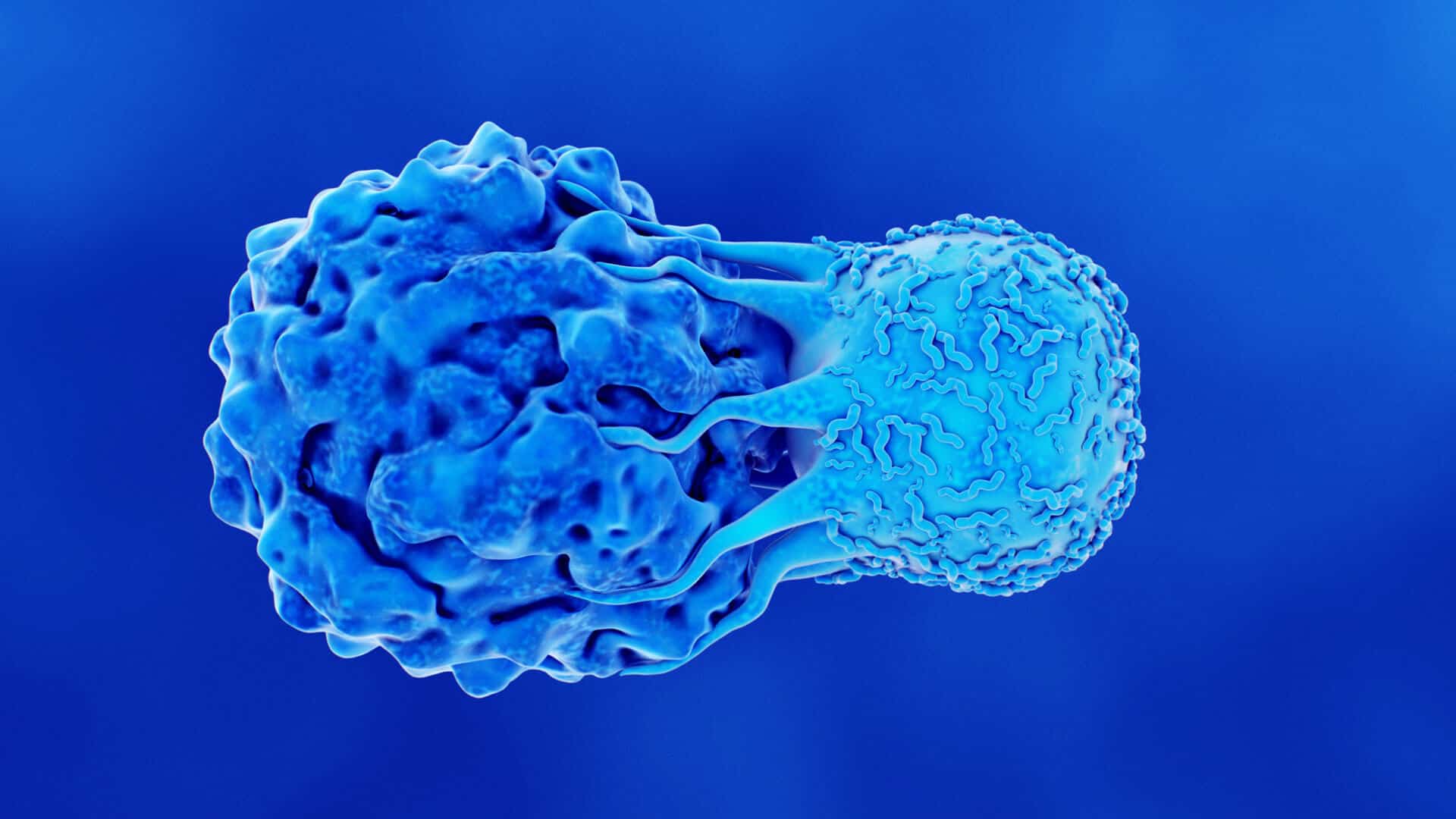 Tarlette Cell CAR T-Cell Therapy: Considerations & Future Opportunities