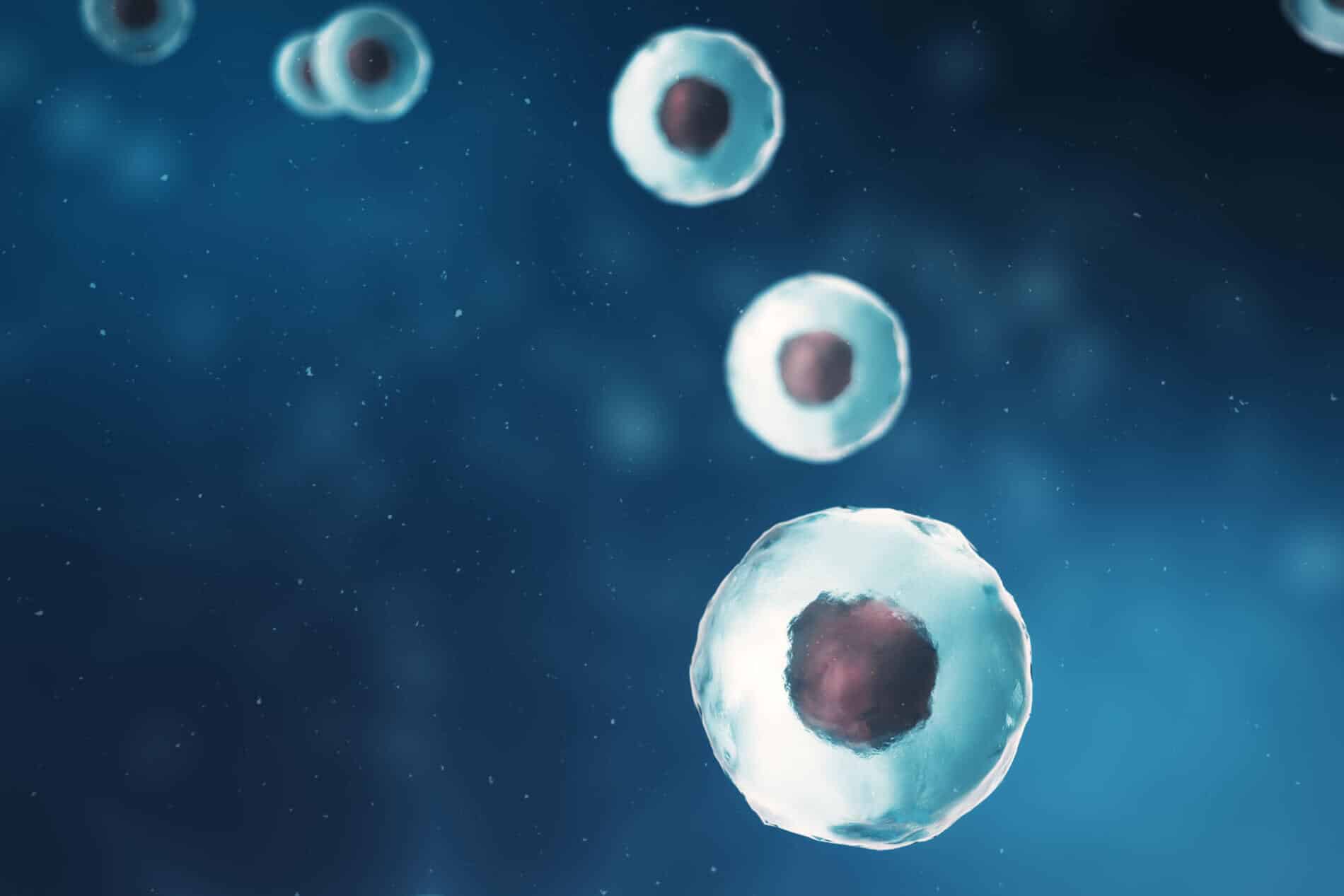 How to Establish Clinical Utility of Molecular Diagnostics for Precision Medicine: 5 Tips on RCT Design