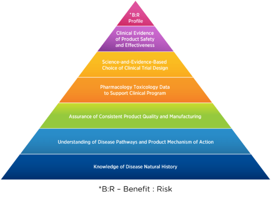 How to Use Registries and Natural History Studies in Rare Diseases