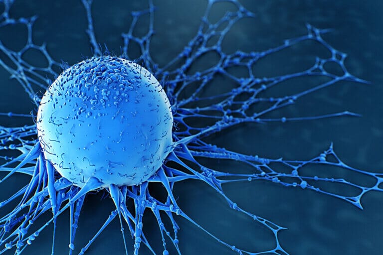 Understanding ISO 14155:2020 to Optimize Outcomes of Clinical Investigations of Medical Devices for Human Subjects
