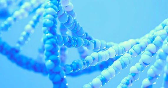 End-to-End Clinical Trial Management
