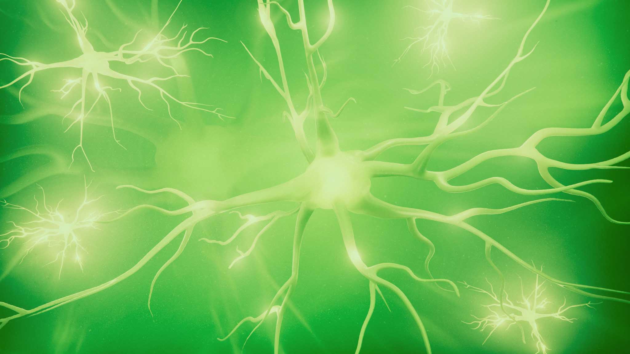 Visualization of neurons and neural network with signals