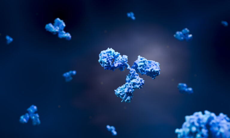 Antibodies