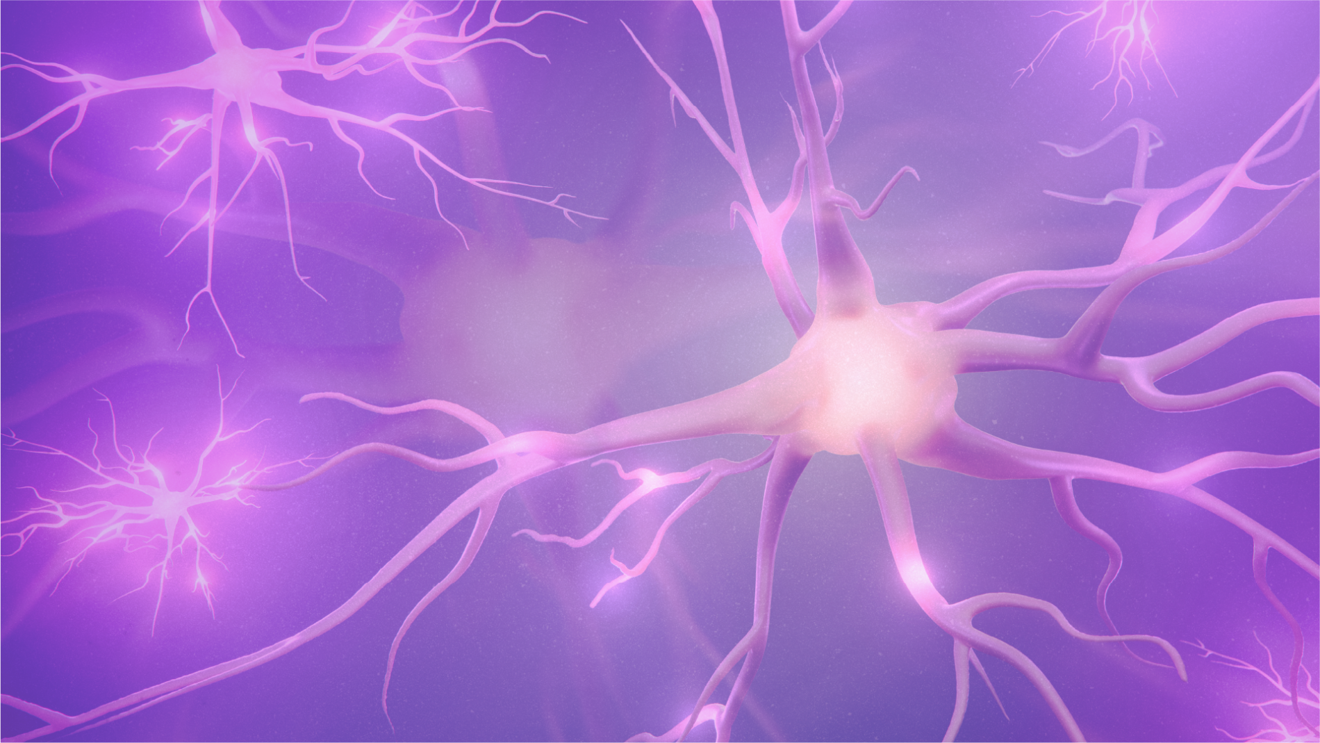 Minimizing Variability in CNS Trials: The Case for Rigorous Rater Training